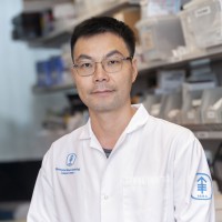 Biran Wang, PhD