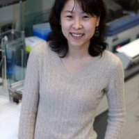 Jing Pan, PhD