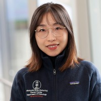 Memorial Sloan Kettering hematopathologist Qi Gao
