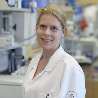 Caroline Lindemans, MD, PhD