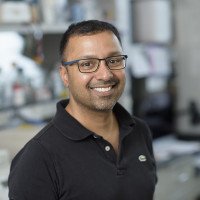 Rohit Prakash, PhD