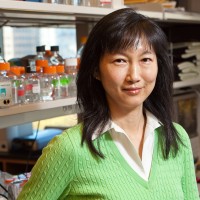Emily H. Cheng, MD, PhD