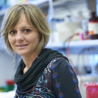 Elisa Oricchio, PhD