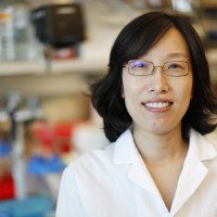 Heesun Cheong, PhD