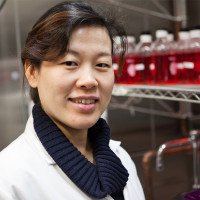 Li Kong, PhD