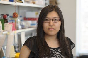 Linlin Cao | Sloan Kettering Institute
