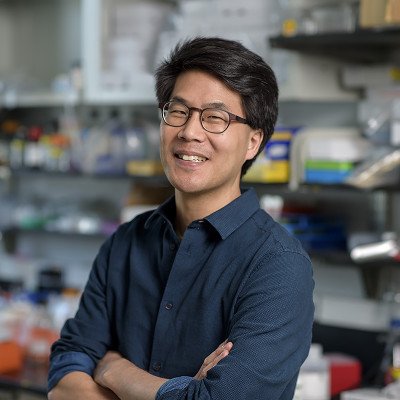 The Eric Lai Lab | Sloan Kettering Institute