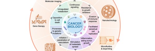 Citation: Keshari, K., Heller, D., Boltyanskiy, R., Hricak, H., Magaldi, T., Overholtzer, M. Engineering focusing on cancer. Cancer Cell, (42)7, 1138-1141