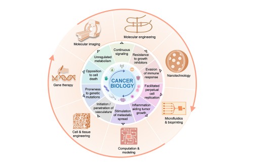 Citation: Keshari, K., Heller, D., Boltyanskiy, R., Hricak, H., Magaldi, T., Overholtzer, M. Engineering focusing on cancer. Cancer Cell, (42)7, 1138-1141