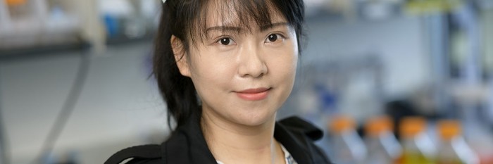 Meet Yanan Ma, 2023 Kravis WiSE Postdoctoral Fellowship Winner ...