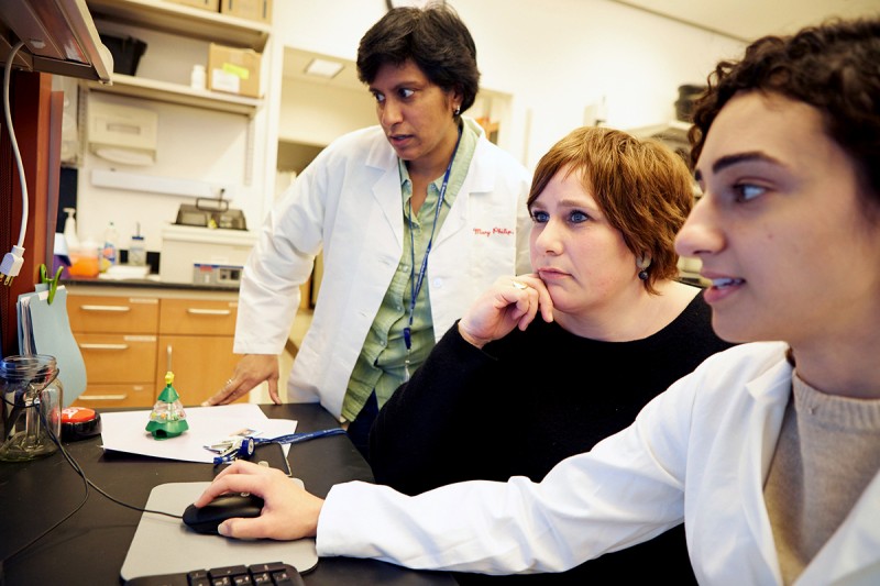 In the lab of immunologist Andrea Schietinger