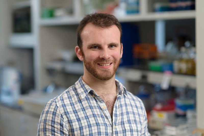 Ryan Walsh Sloan Kettering Institute