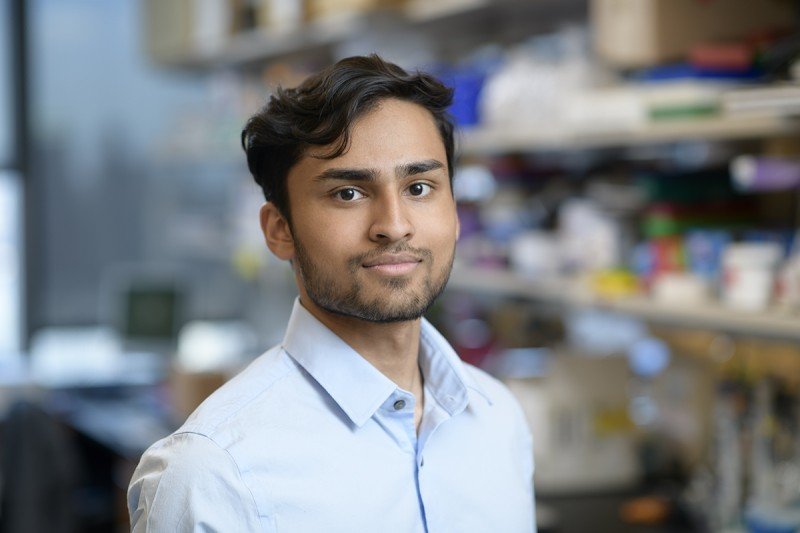 The Jason Lewis Lab Ashwin Ragupathi Memorial Sloan Kettering Cancer 