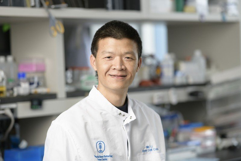 Mu Li | Sloan Kettering Institute