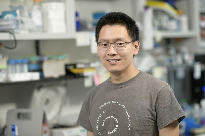 Xin Cai | Sloan Kettering Institute