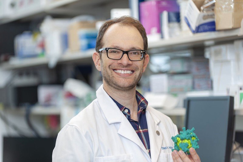 Daniel A Heller Sloan Kettering Institute