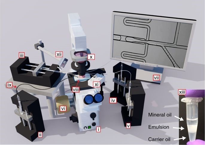 Xenium Flow Cell Layout Technology and Platforms | Sloan Kettering Institute