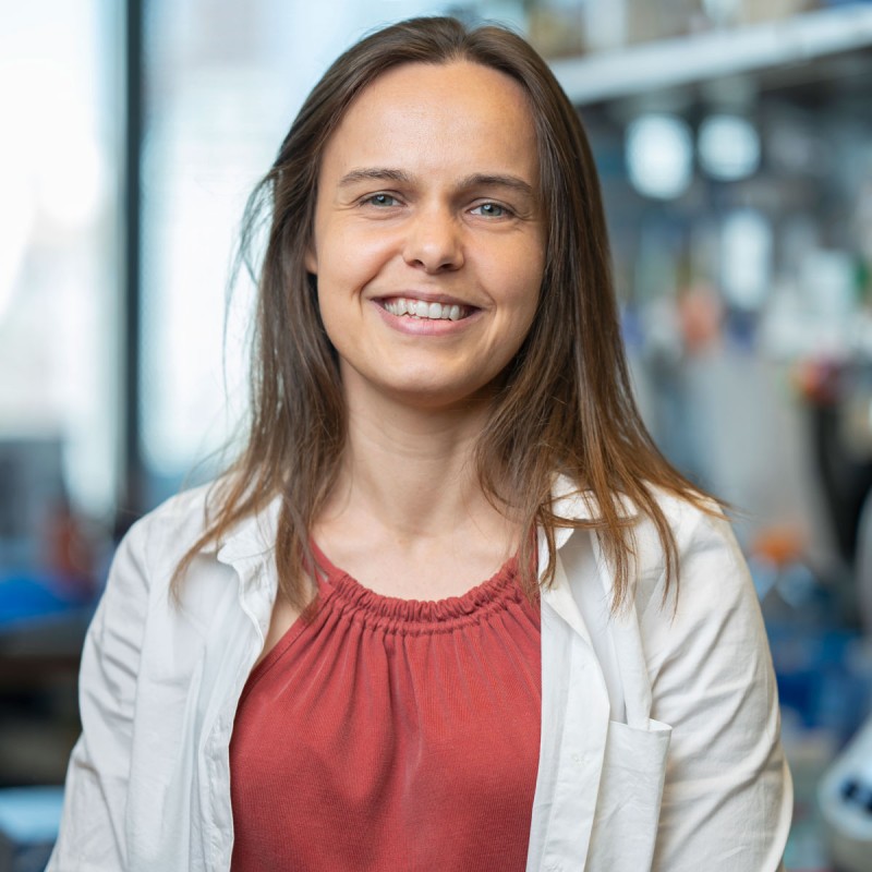 Aveline Filliol | Sloan Kettering Institute