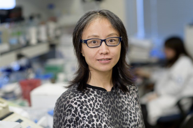 Rong Wang Sloan Kettering Institute