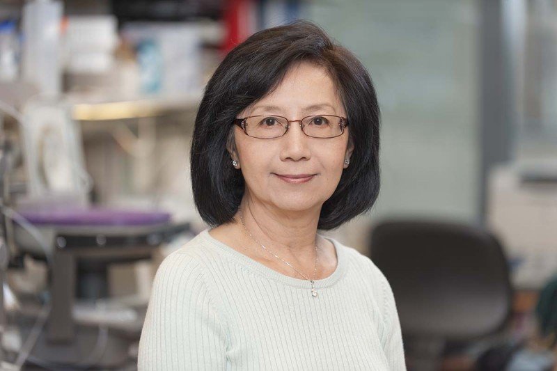 Dr. Irene Cheung