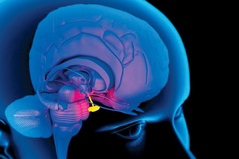 Pituitary Tumor Center Addresses a Common Tumor Using a Specialized